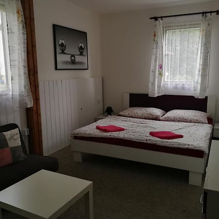 Penzion Tomy Na Plazi Otel Frymburk Dış mekan fotoğraf