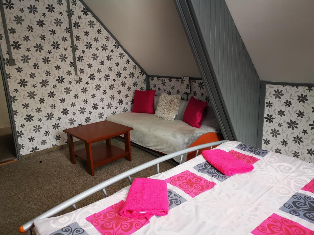 Penzion Tomy Na Plazi Otel Frymburk Dış mekan fotoğraf