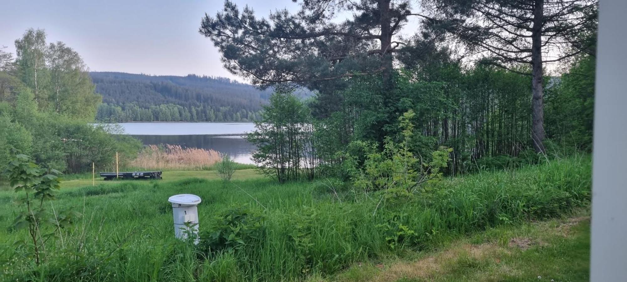 Penzion Tomy Na Plazi Otel Frymburk Dış mekan fotoğraf