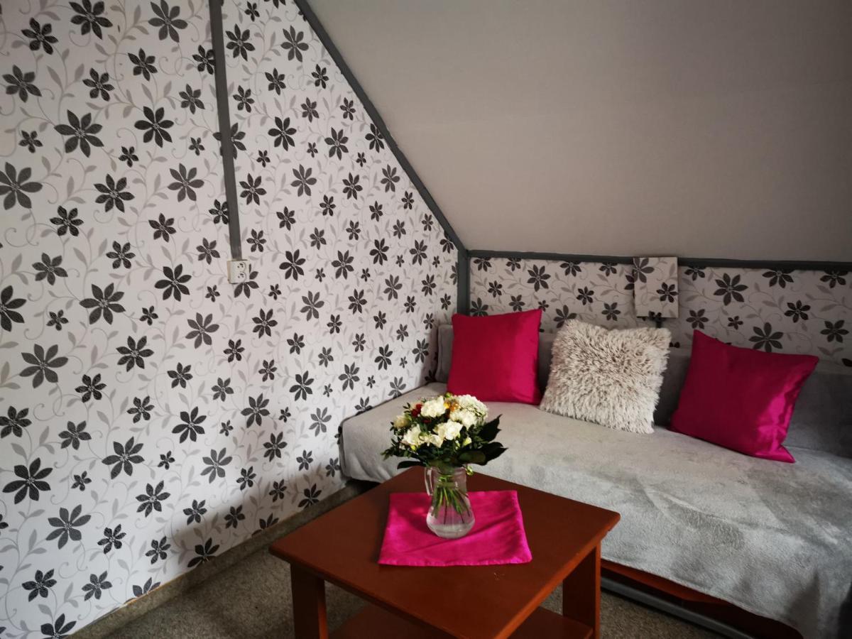 Penzion Tomy Na Plazi Otel Frymburk Dış mekan fotoğraf