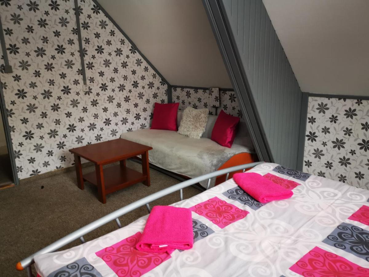 Penzion Tomy Na Plazi Otel Frymburk Dış mekan fotoğraf