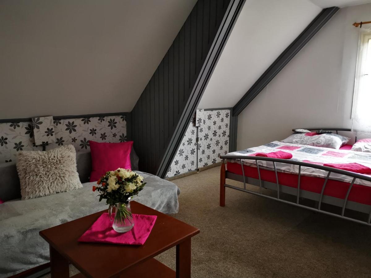 Penzion Tomy Na Plazi Otel Frymburk Dış mekan fotoğraf
